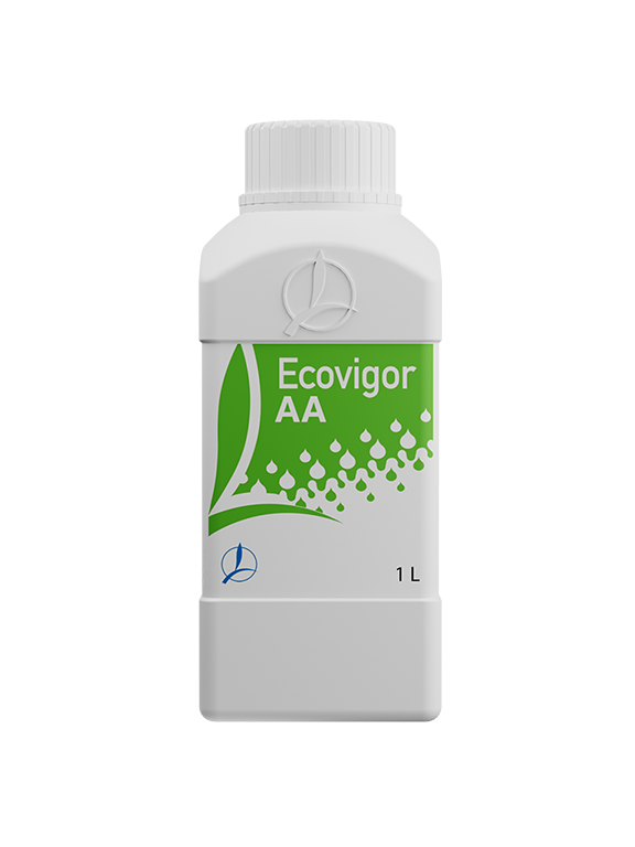 ECOVIGOR AA