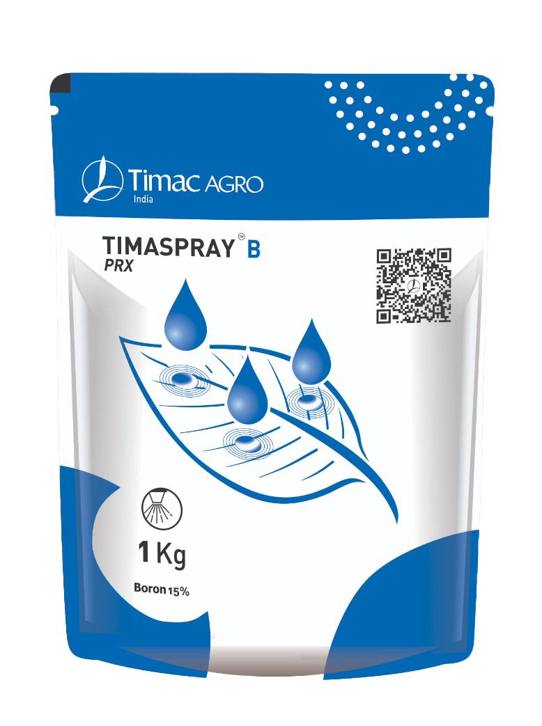 TIMASPRAY B