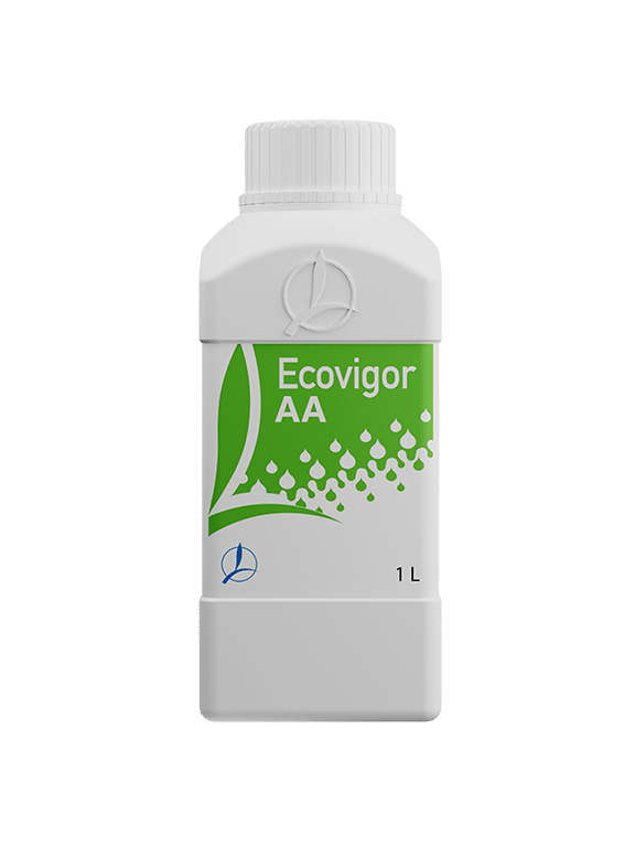 ECOVIGOR AA