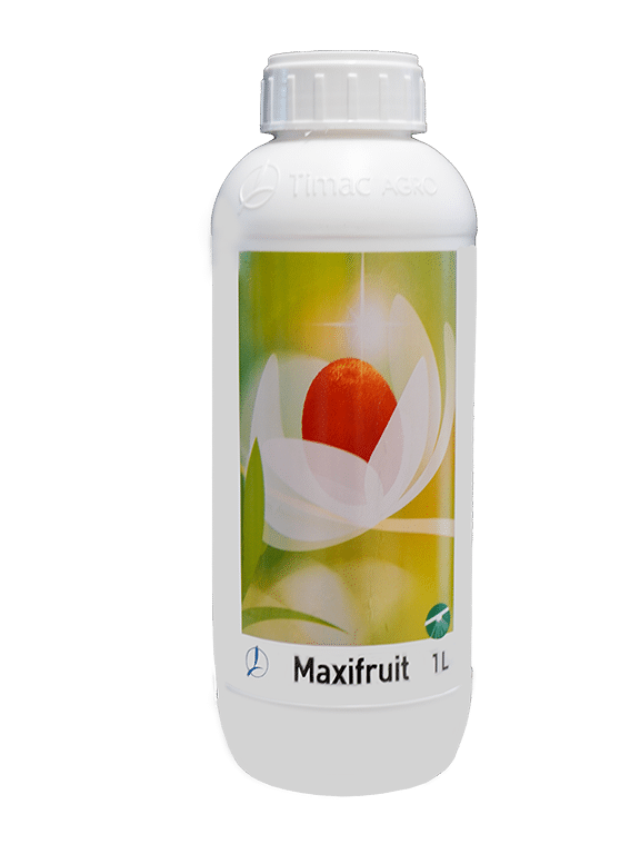 MAXIFRUIT