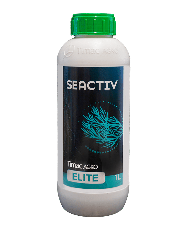 SEACTIV ELITE