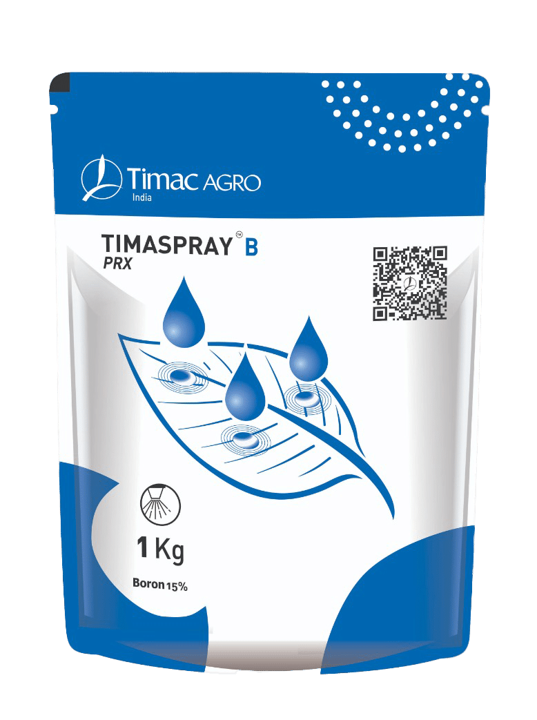 TIMASPRAY B